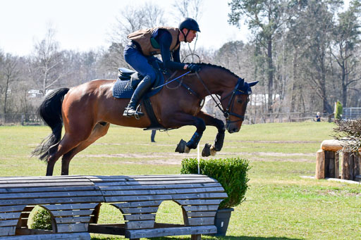 Luhmühlen Geländepferdetag 31.03.21 | 31032021 GPF A++  2 Abt_345 