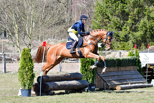 Luhmühlen Geländepferdetag 31.03.21 | 31032021 GPF A++  2 Abt_362 