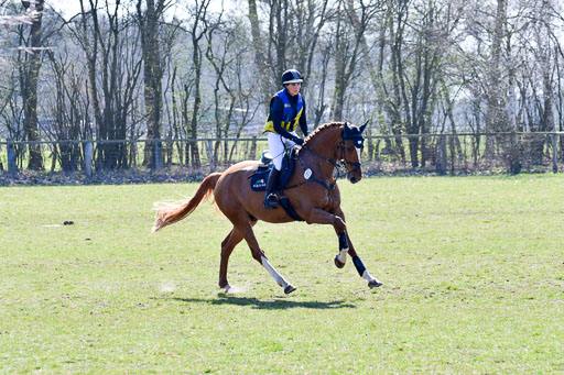 Luhmühlen Geländepferdetag 31.03.21 | 31032021 GPF A++  2 Abt_364 