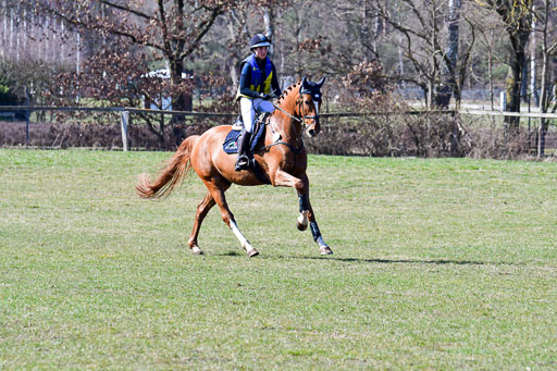 Luhmühlen Geländepferdetag 31.03.21 | 31032021 GPF A++  2 Abt_372 