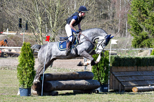 Luhmühlen Geländepferdetag 31.03.21 | 31032021 GPF A++  2 Abt_375 