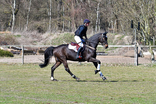 Luhmühlen Geländepferdetag 31.03.21 | 31032021 GPF A++  2 Abt_428 