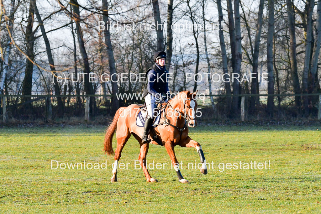 Luhmühlen Geländepferdetag 31.03.21 | 31032021 GPF A++ 1 Abt_031