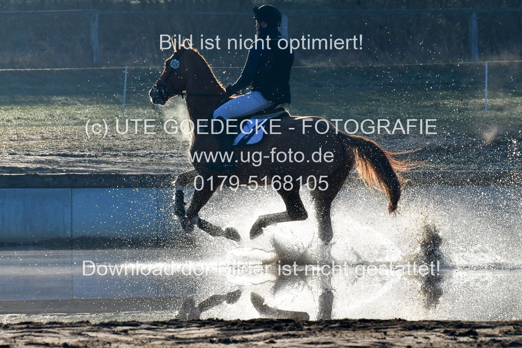 Luhmühlen Geländepferdetag 31.03.21 | 31032021 GPF A++ 1 Abt_041