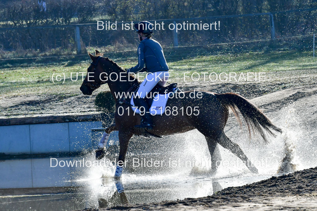 Luhmühlen Geländepferdetag 31.03.21 | 31032021 GPF A++ 1 Abt_209