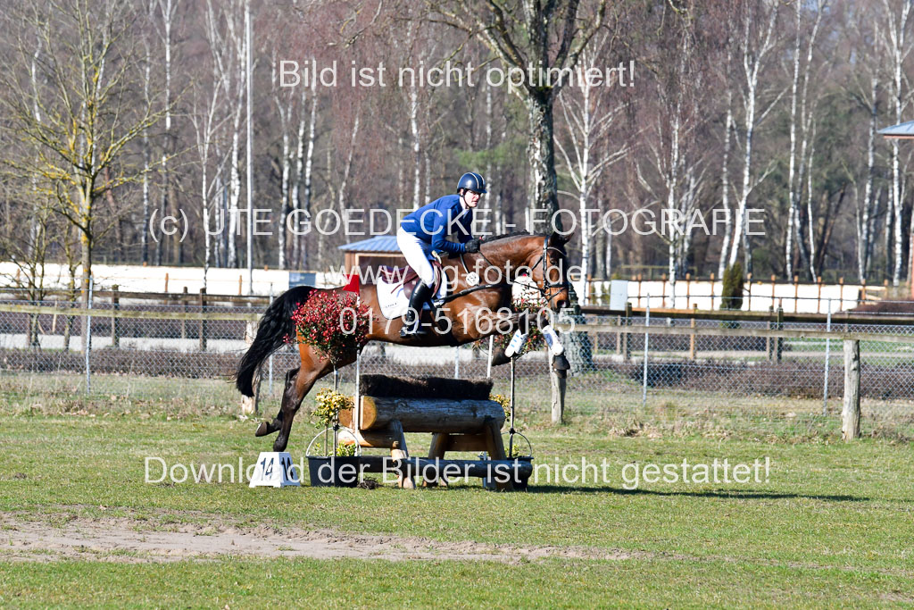 Luhmühlen Geländepferdetag 31.03.21 | 31032021 GPF A++  1 Abt_393 