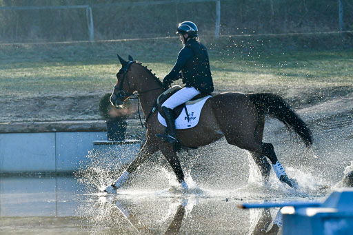 Luhmühlen Geländepferdetag 31.03.21 | 31032021 GPF A++  1 Abt_020 