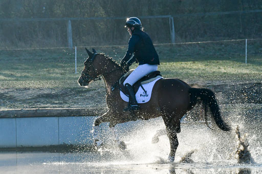 Luhmühlen Geländepferdetag 31.03.21 | 31032021 GPF A++  1 Abt_021 