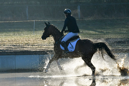 Luhmühlen Geländepferdetag 31.03.21 | 31032021 GPF A++  1 Abt_023 