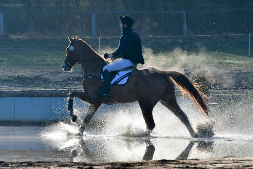 Luhmühlen Geländepferdetag 31.03.21 | 31032021 GPF A++  1 Abt_040 