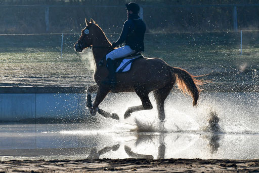 Luhmühlen Geländepferdetag 31.03.21 | 31032021 GPF A++  1 Abt_041 