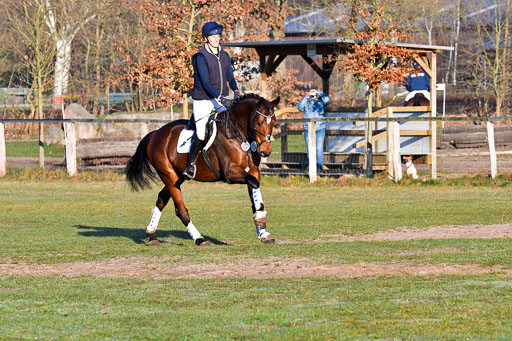 Luhmühlen Geländepferdetag 31.03.21 | 31032021 GPF A++  1 Abt_049 