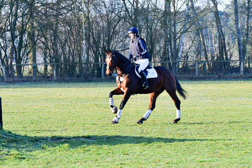 Luhmühlen Geländepferdetag 31.03.21 | 31032021 GPF A++  1 Abt_053 