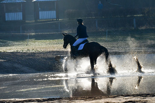 Luhmühlen Geländepferdetag 31.03.21 | 31032021 GPF A++  1 Abt_058 