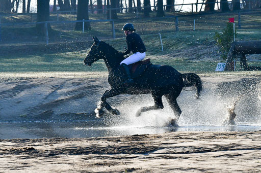 Luhmühlen Geländepferdetag 31.03.21 | 31032021 GPF A++  1 Abt_085 