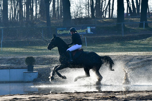 Luhmühlen Geländepferdetag 31.03.21 | 31032021 GPF A++  1 Abt_087 