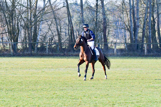 Luhmühlen Geländepferdetag 31.03.21 | 31032021 GPF A++  1 Abt_096 