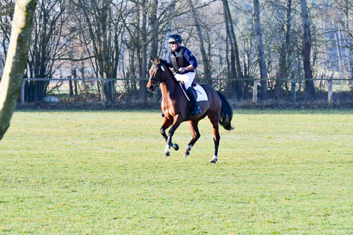 Luhmühlen Geländepferdetag 31.03.21 | 31032021 GPF A++  1 Abt_097 