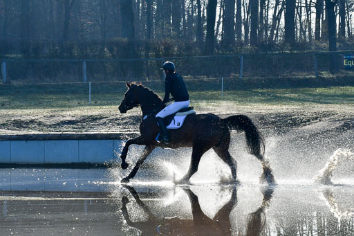 Luhmühlen Geländepferdetag 31.03.21 | 31032021 GPF A++  1 Abt_124 