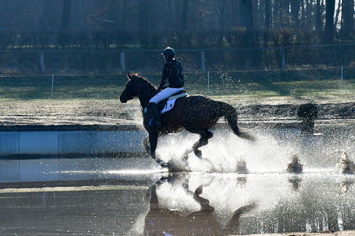 Luhmühlen Geländepferdetag 31.03.21 | 31032021 GPF A++  1 Abt_125 
