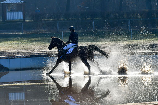 Luhmühlen Geländepferdetag 31.03.21 | 31032021 GPF A++  1 Abt_126 