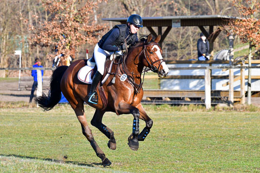 Luhmühlen Geländepferdetag 31.03.21 | 31032021 GPF A++  1 Abt_133 