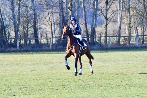 Luhmühlen Geländepferdetag 31.03.21 | 31032021 GPF A++  1 Abt_153 