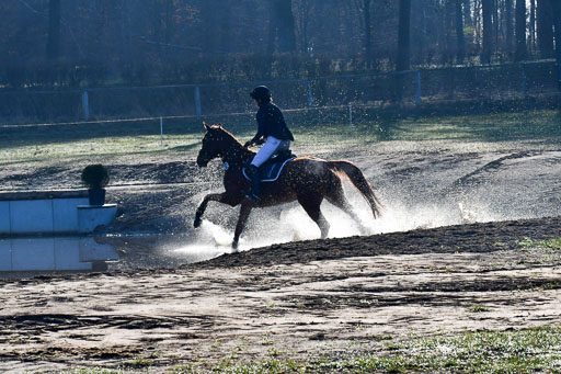 Luhmühlen Geländepferdetag 31.03.21 | 31032021 GPF A++  1 Abt_172 