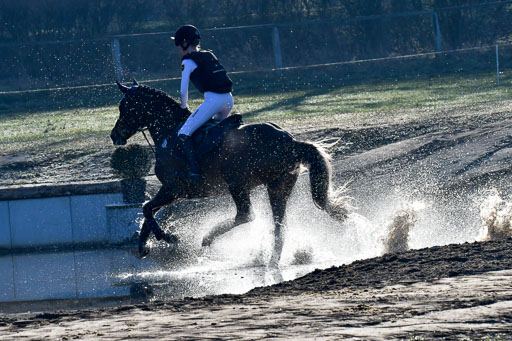 Luhmühlen Geländepferdetag 31.03.21 | 31032021 GPF A++  1 Abt_182 