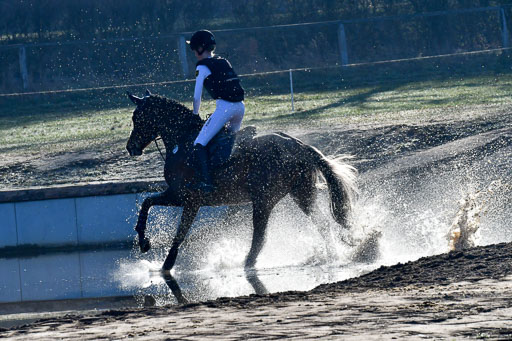 Luhmühlen Geländepferdetag 31.03.21 | 31032021 GPF A++  1 Abt_183 