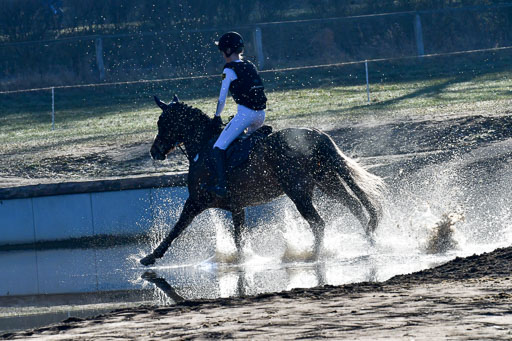 Luhmühlen Geländepferdetag 31.03.21 | 31032021 GPF A++  1 Abt_184 