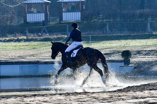 Luhmühlen Geländepferdetag 31.03.21 | 31032021 GPF A++  1 Abt_191 