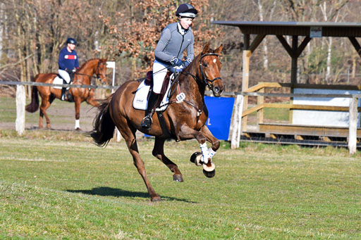 Luhmühlen Geländepferdetag 31.03.21 | 31032021 GPF A++  1 Abt_215 