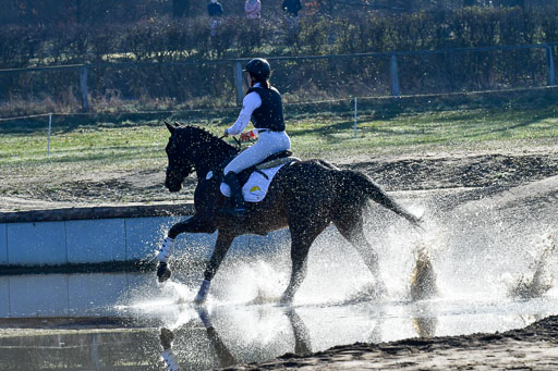 Luhmühlen Geländepferdetag 31.03.21 | 31032021 GPF A++  1 Abt_225 