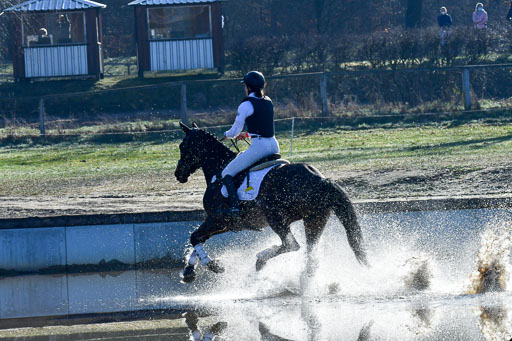 Luhmühlen Geländepferdetag 31.03.21 | 31032021 GPF A++  1 Abt_226 