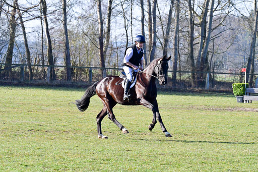 Luhmühlen Geländepferdetag 31.03.21 | 31032021 GPF A++  1 Abt_231 