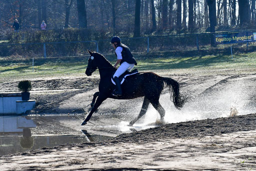 Luhmühlen Geländepferdetag 31.03.21 | 31032021 GPF A++  1 Abt_235 