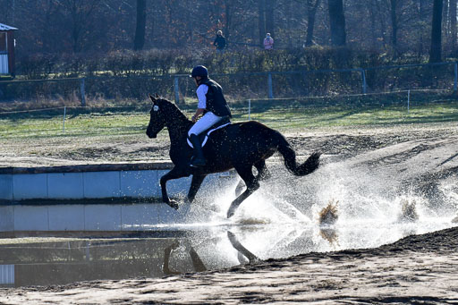 Luhmühlen Geländepferdetag 31.03.21 | 31032021 GPF A++  1 Abt_237 