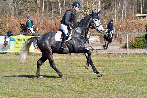 Luhmühlen Geländepferdetag 31.03.21 | 31032021 GPF A++  1 Abt_243 