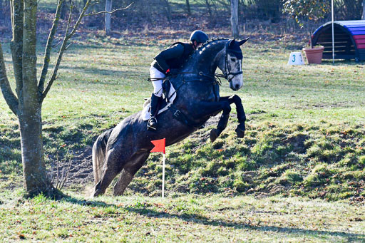 Luhmühlen Geländepferdetag 31.03.21 | 31032021 GPF A++  1 Abt_253 