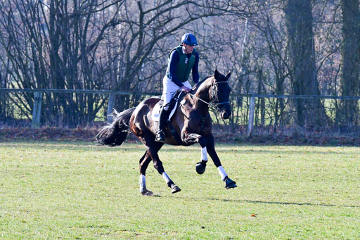 Luhmühlen Geländepferdetag 31.03.21 | 31032021 GPF A++  1 Abt_258 