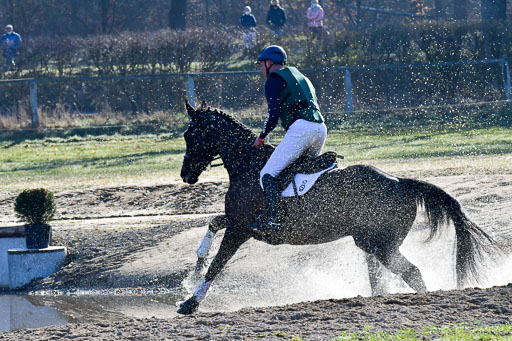 Luhmühlen Geländepferdetag 31.03.21 | 31032021 GPF A++  1 Abt_265 