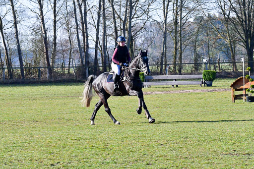 Luhmühlen Geländepferdetag 31.03.21 | 31032021 GPF A++  1 Abt_275 