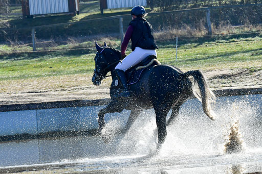 Luhmühlen Geländepferdetag 31.03.21 | 31032021 GPF A++  1 Abt_278 