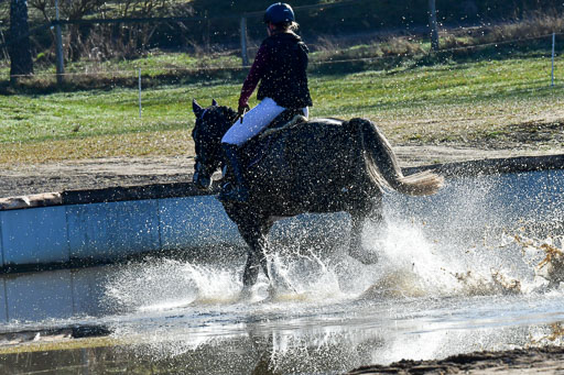 Luhmühlen Geländepferdetag 31.03.21 | 31032021 GPF A++  1 Abt_279 