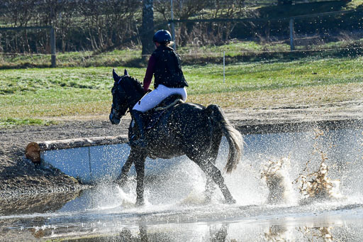 Luhmühlen Geländepferdetag 31.03.21 | 31032021 GPF A++  1 Abt_280 