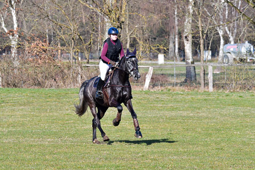 Luhmühlen Geländepferdetag 31.03.21 | 31032021 GPF A++  1 Abt_281 