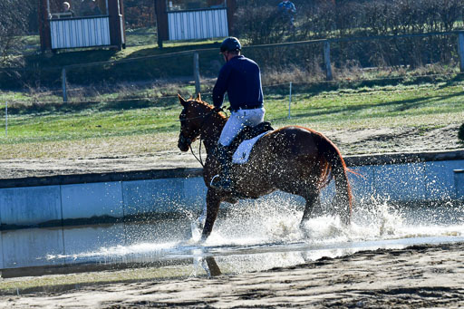 Luhmühlen Geländepferdetag 31.03.21 | 31032021 GPF A++  1 Abt_288 