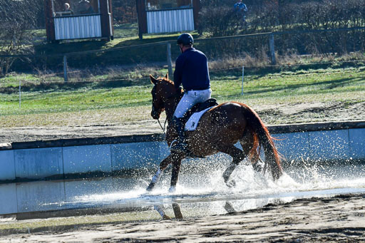 Luhmühlen Geländepferdetag 31.03.21 | 31032021 GPF A++  1 Abt_289 