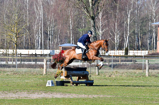 Luhmühlen Geländepferdetag 31.03.21 | 31032021 GPF A++  1 Abt_290 